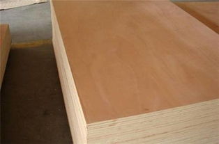 异形胶合板销售商 异形胶合板 龙门木业 多图